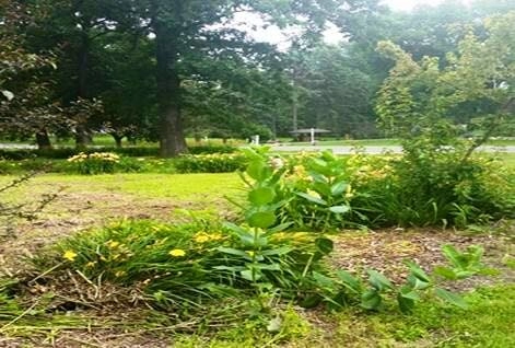 All Seasons Landscaping - Photo 11