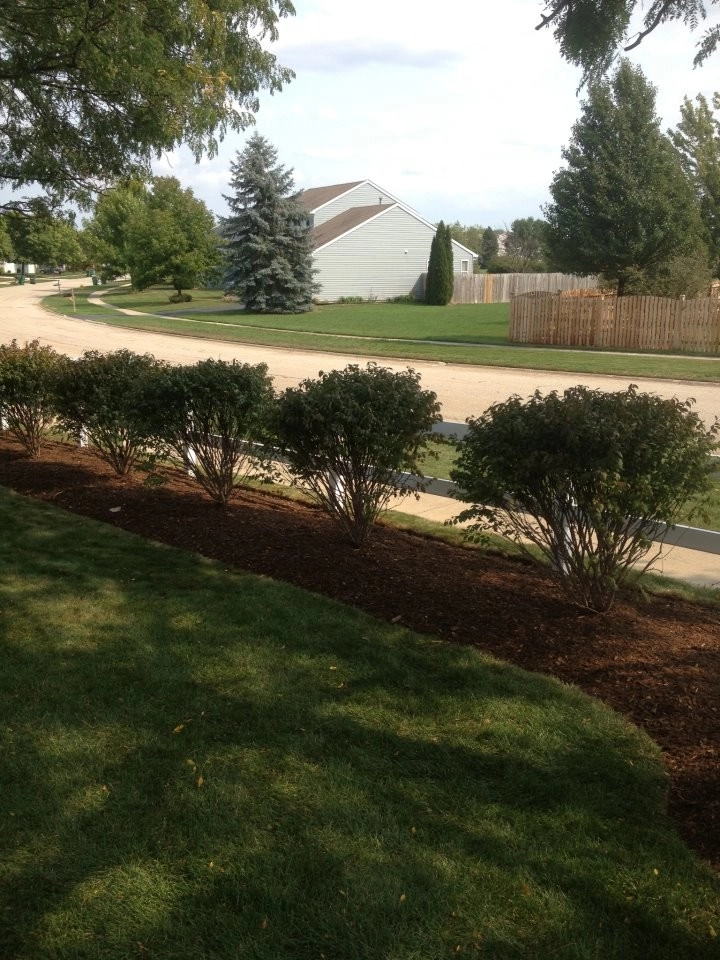 All Seasons Landscaping - Photo 13
