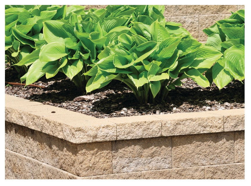 Services Offered by All Terrain Landscaping - Photo 7
