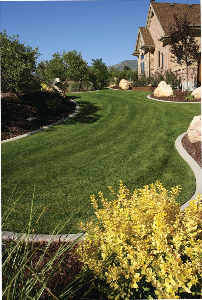 Services Offered by All Terrain Landscaping - Photo 6