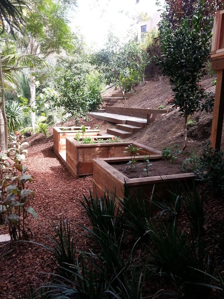 La Jolla Canyon Project by Allen Landscape Inc. - Photo 13