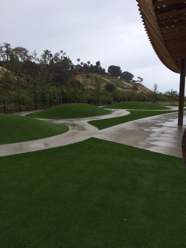 Bluff Creek Dog Park - Playa Vista by Allstate Landscape & Southwest Greens - Photo 10