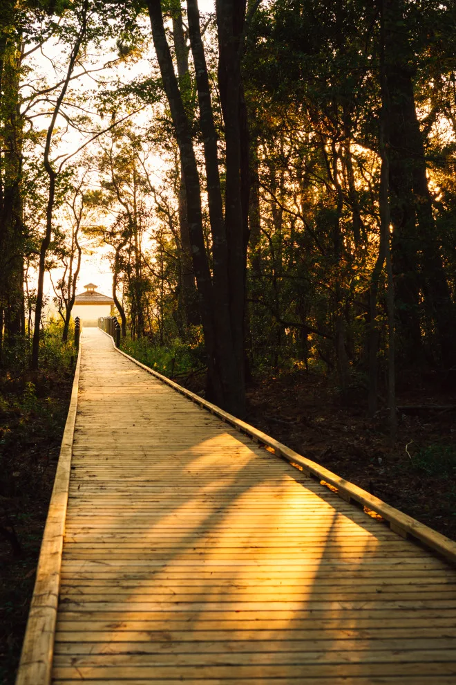 Outer Banks Water Oak at Kill Devil Hills Flat Top by SAGA Realty & Construction - Photo 29