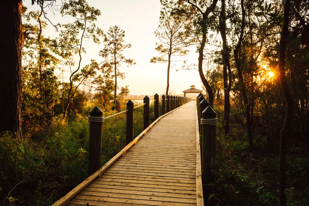 Outer Banks Water Oak at Kill Devil Hills Flat Top by SAGA Realty & Construction - Photo 9