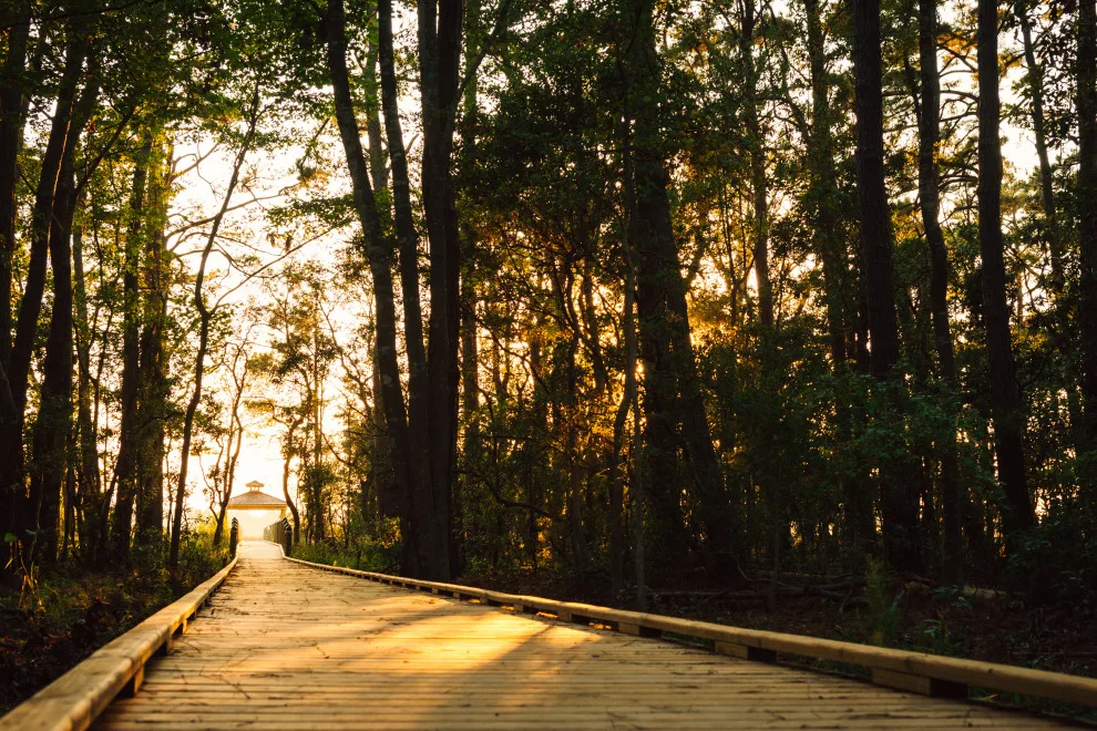 Outer Banks Water Oak at Kill Devil Hills Flat Top by SAGA Realty & Construction - Photo 90