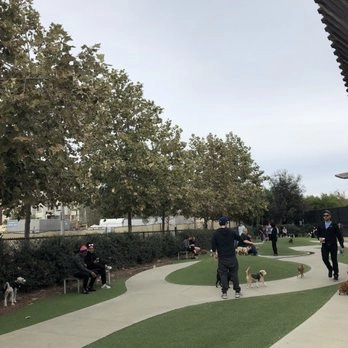 Bluff Creek Dog Park - Playa Vista by Allstate Landscape & Southwest Greens - Photo 16