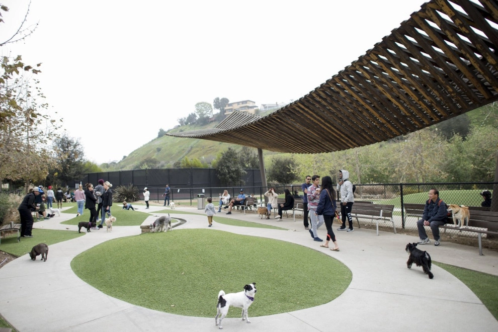 Bluff Creek Dog Park - Playa Vista by Allstate Landscape & Southwest Greens - Photo 17