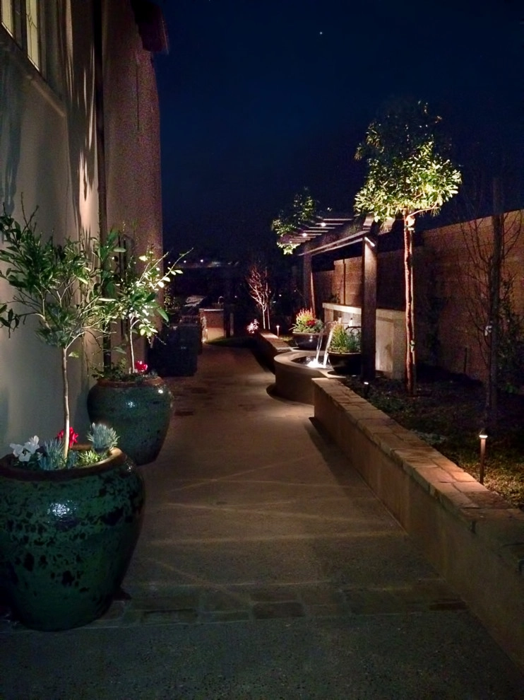 Irvine |||| by Altera Landscape - Photo 9