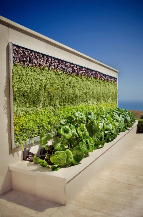 Living Walls by Altera Landscape - Photo 7
