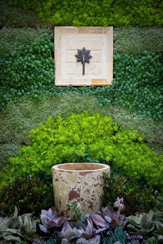 Living Walls by Altera Landscape - Photo 9