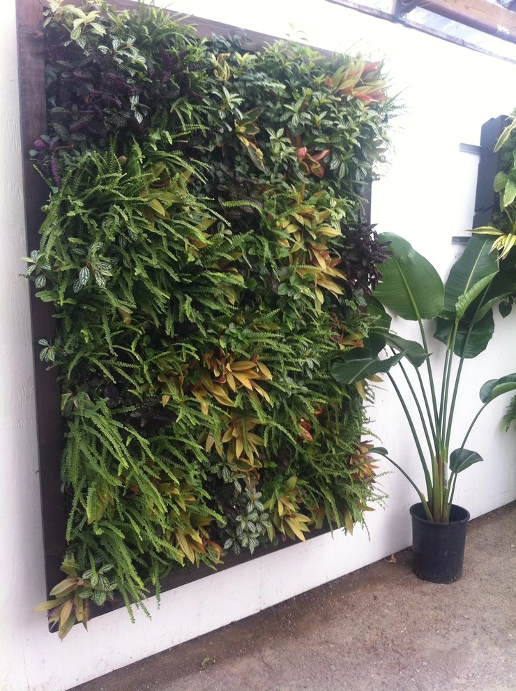 Living Walls by Altera Landscape - Photo 8