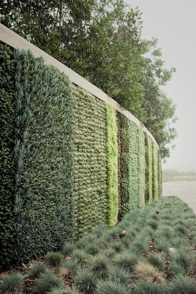 Living Walls by Altera Landscape - Photo 2