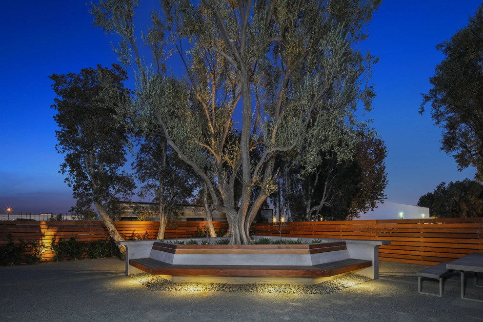 Irvine Commercial Property by Altera Landscape - Photo 6