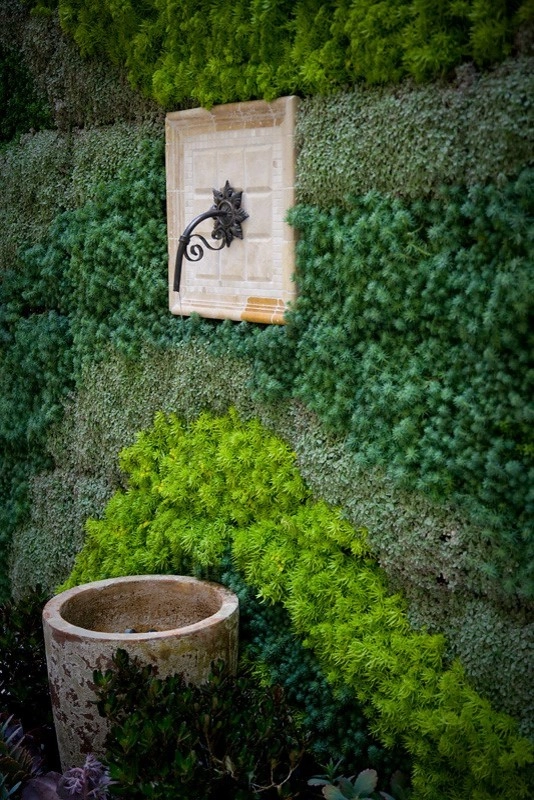 Living Walls by Altera Landscape - Photo 6