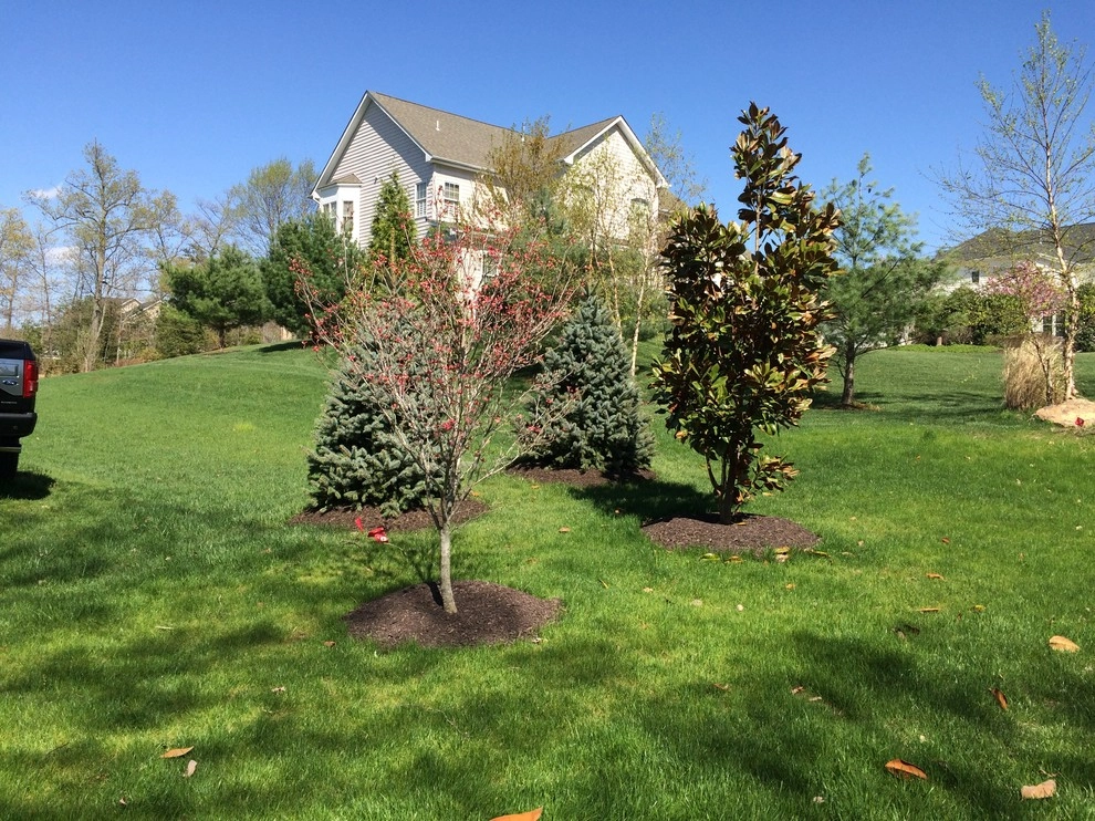 Pasadena MD, Grading for new Shed by AMJ Lawn And Landscape, Inc. - Photo 7