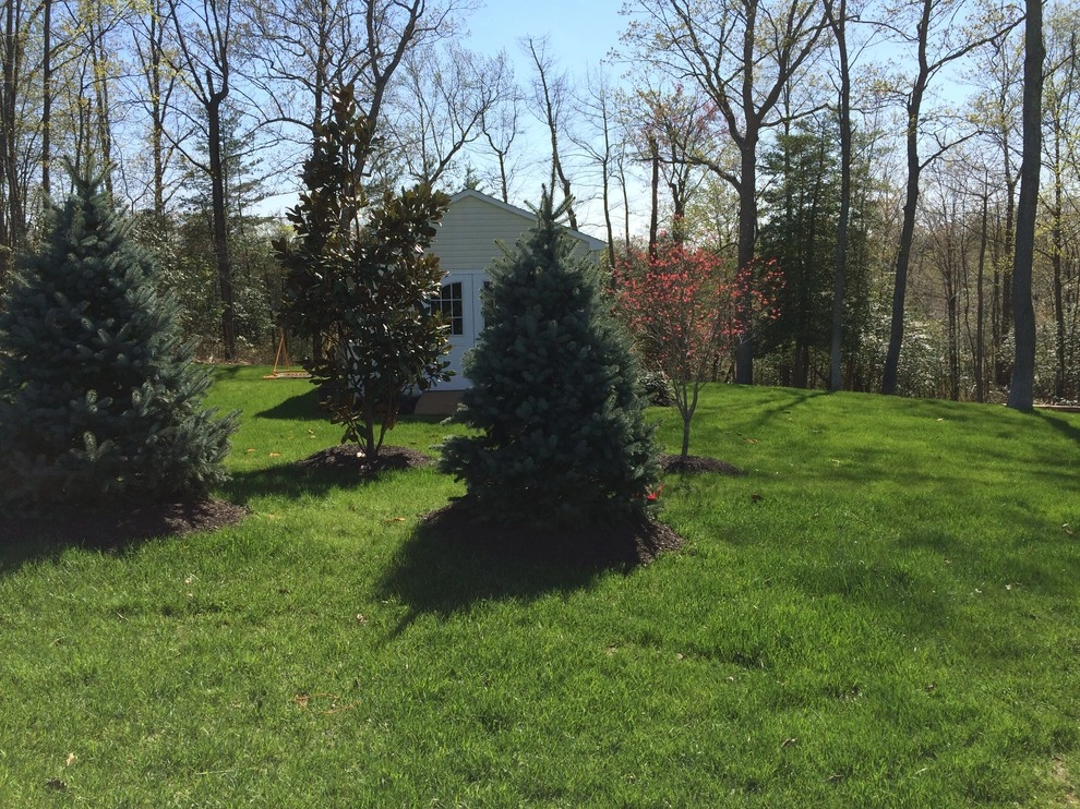 Pasadena MD, Grading for new Shed by AMJ Lawn And Landscape, Inc. - Photo 3