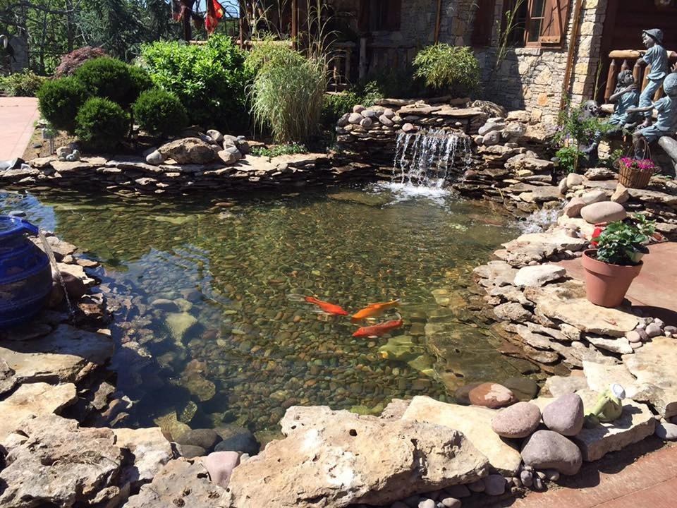 Anderson Pond Design - Photo 2