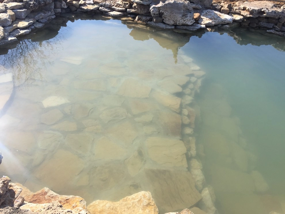 Natural Pools by Anderson Pond Design - Photo 2