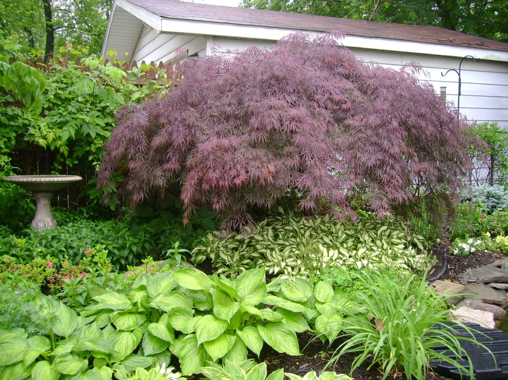 landscape projects by Apex Landscape And Brick Services LLC - Photo 15