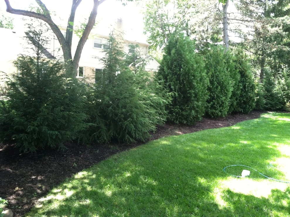 landscape plants and design by Apex Landscape And Brick Services LLC - Photo 4
