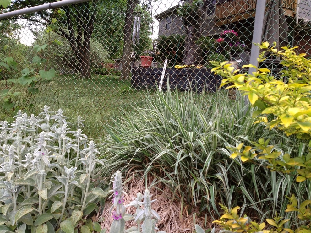 landscape plants and design by Apex Landscape And Brick Services LLC - Photo 19
