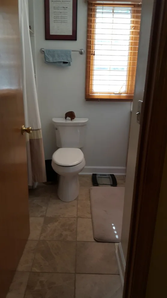 Goodstien Guest Bathroom by CC&J Designs. LLC - Photo 6