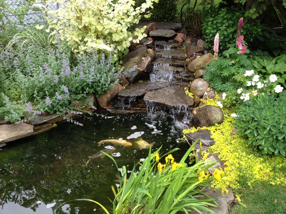 landscape plants and design by Apex Landscape And Brick Services LLC - Photo 11