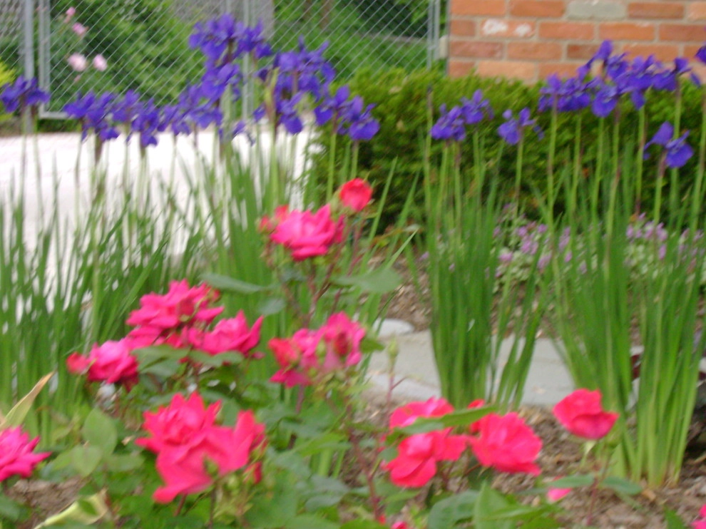 landscape projects by Apex Landscape And Brick Services LLC - Photo 9