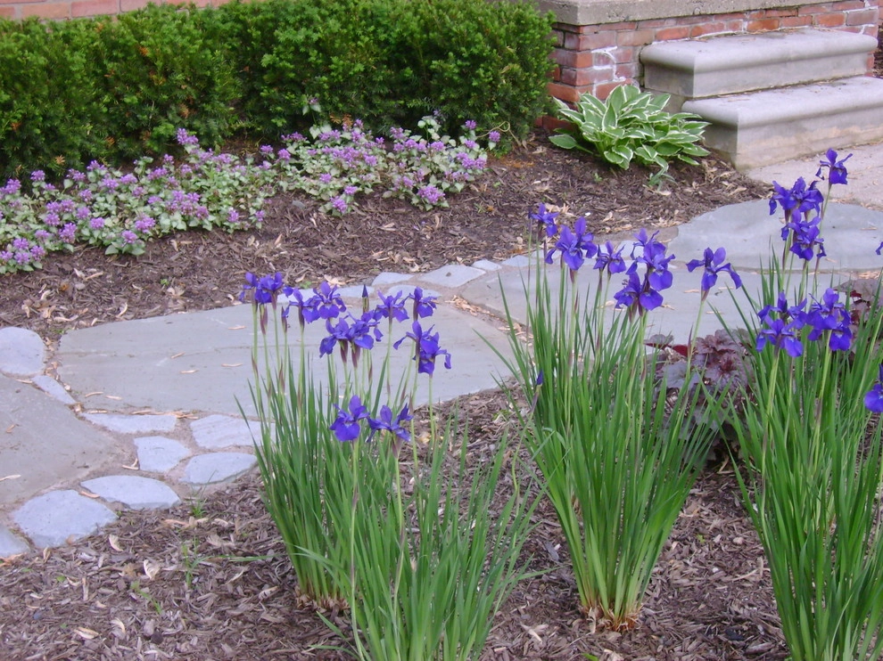 landscape projects by Apex Landscape And Brick Services LLC - Photo 11
