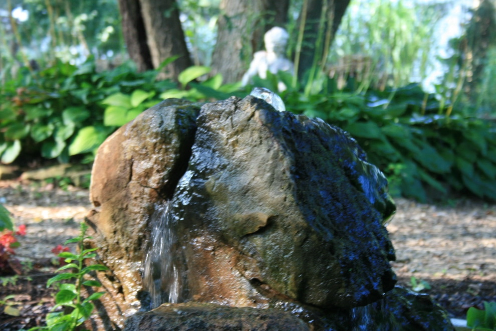 Aquatic Design & Supplies, Inc. - Photo 2