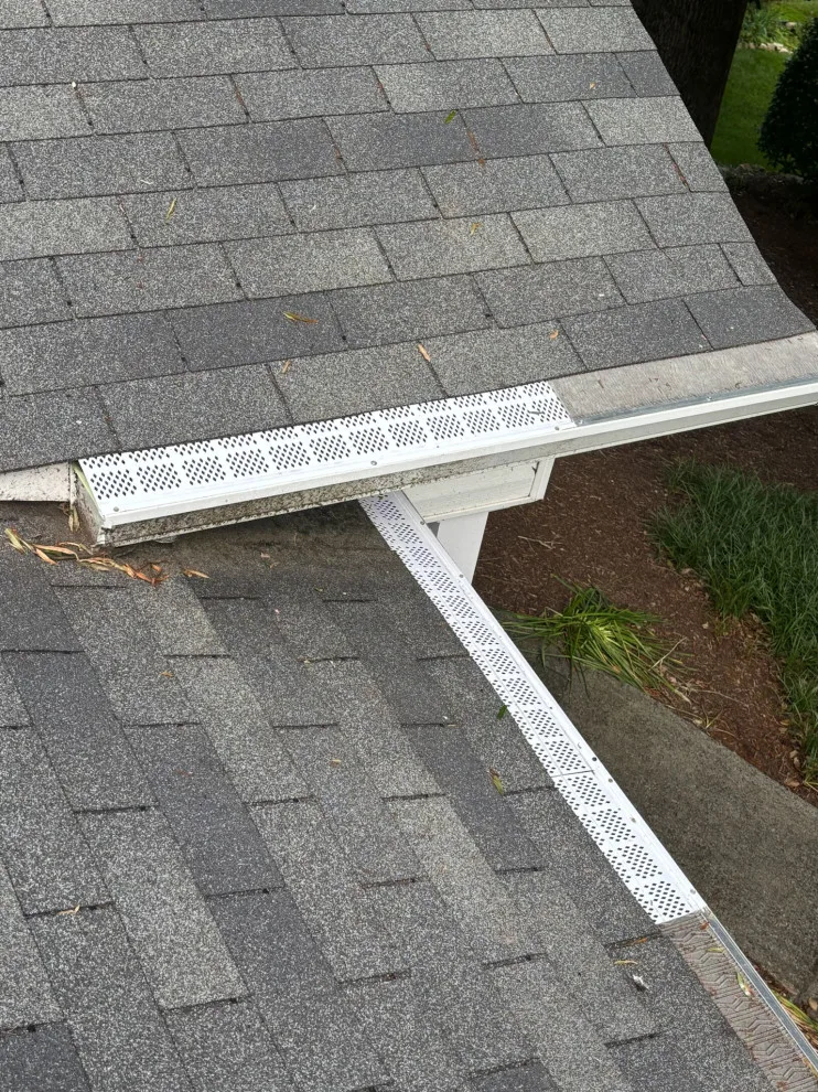 Drainage System Maintenance by Moreno Painting & Remodeling Service - Photo 10