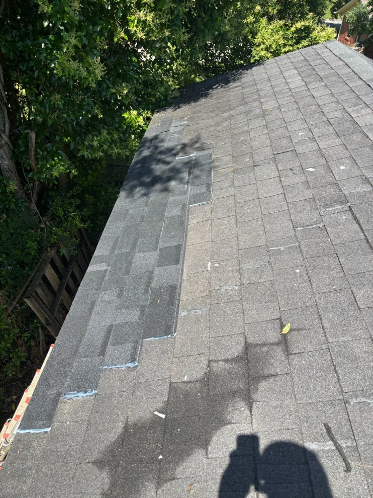 Moreno Painting & Remodeling Service - Photo 12
