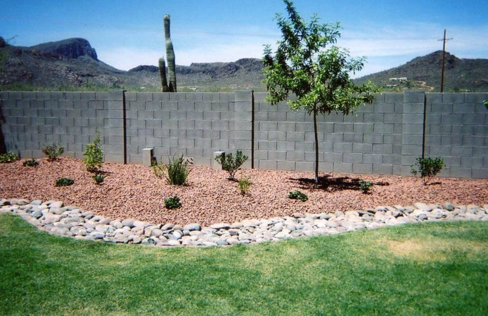 Arizona Desert Bloom Landscape - Photo 6
