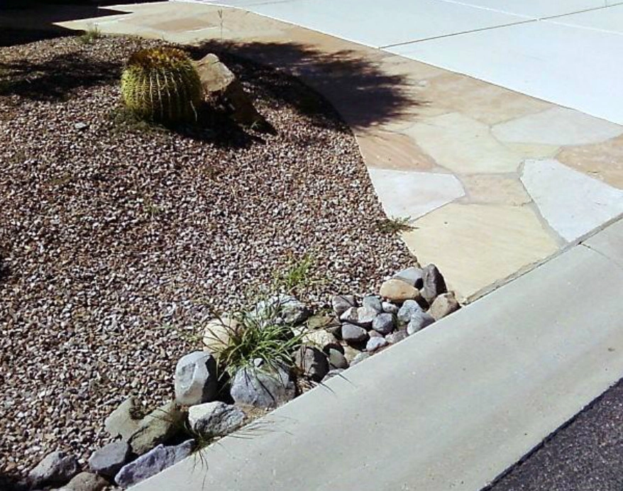 Arizona Desert Bloom Landscape - Photo 3