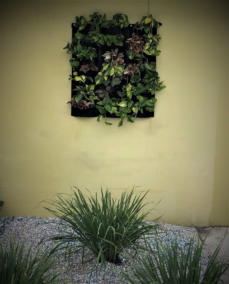 Living walls by Artisan Landscapes - Photo 2