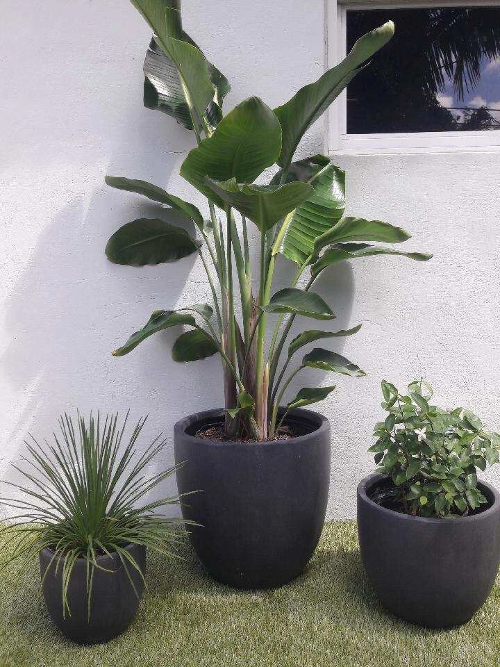 Artisan Landscapes - Photo 11