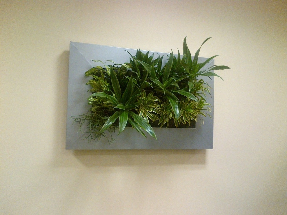 Artisan Landscapes - Photo 14