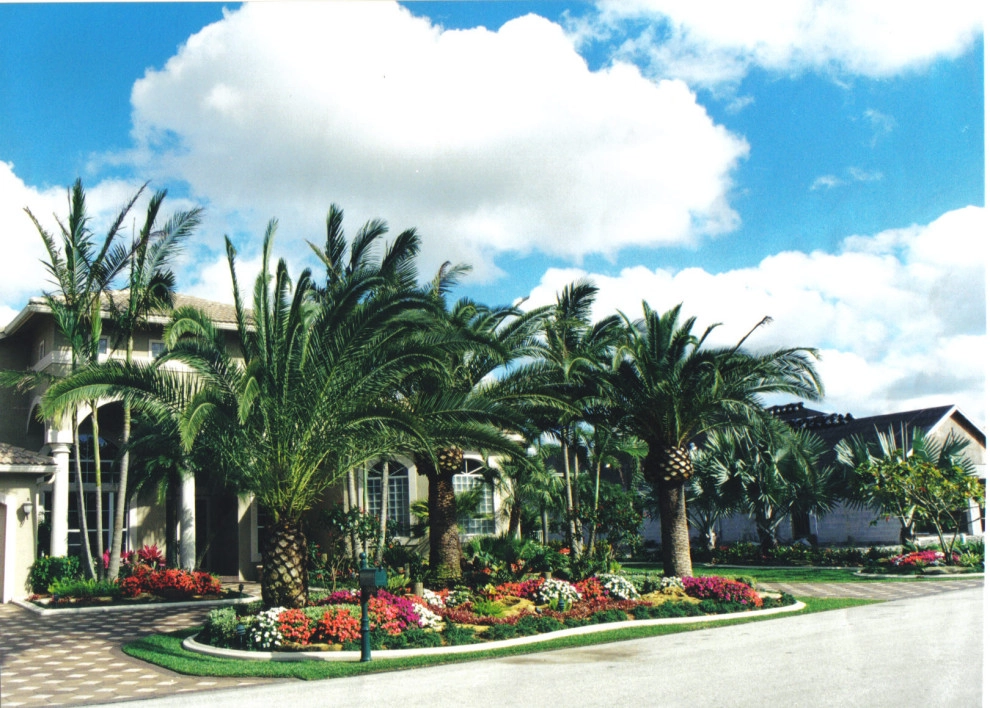 Artscapes By Blue Sky Landscaping - Photo 12