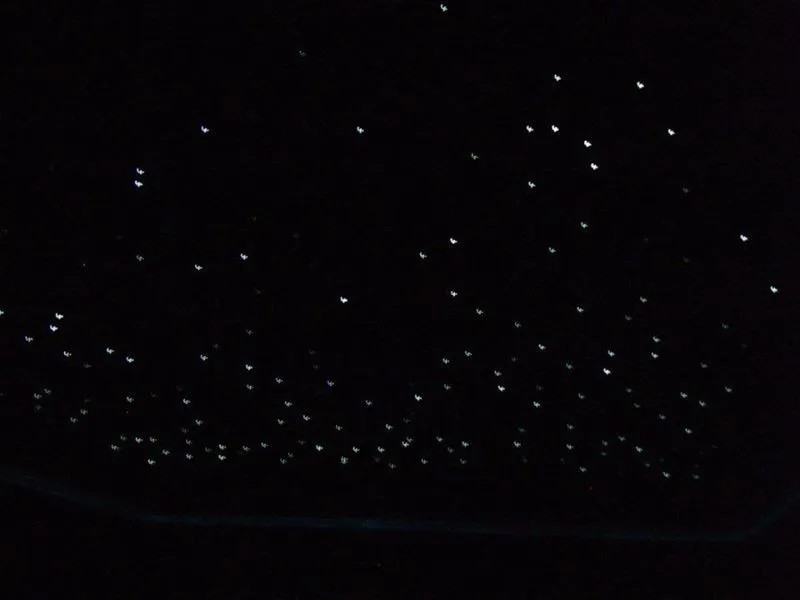 Residential Cinema by QFC Incorporated - Photo 6