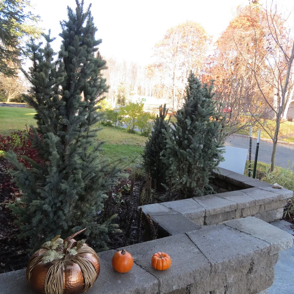 Stepping Stone Pathway by Skyline Remodeling - Photo 3