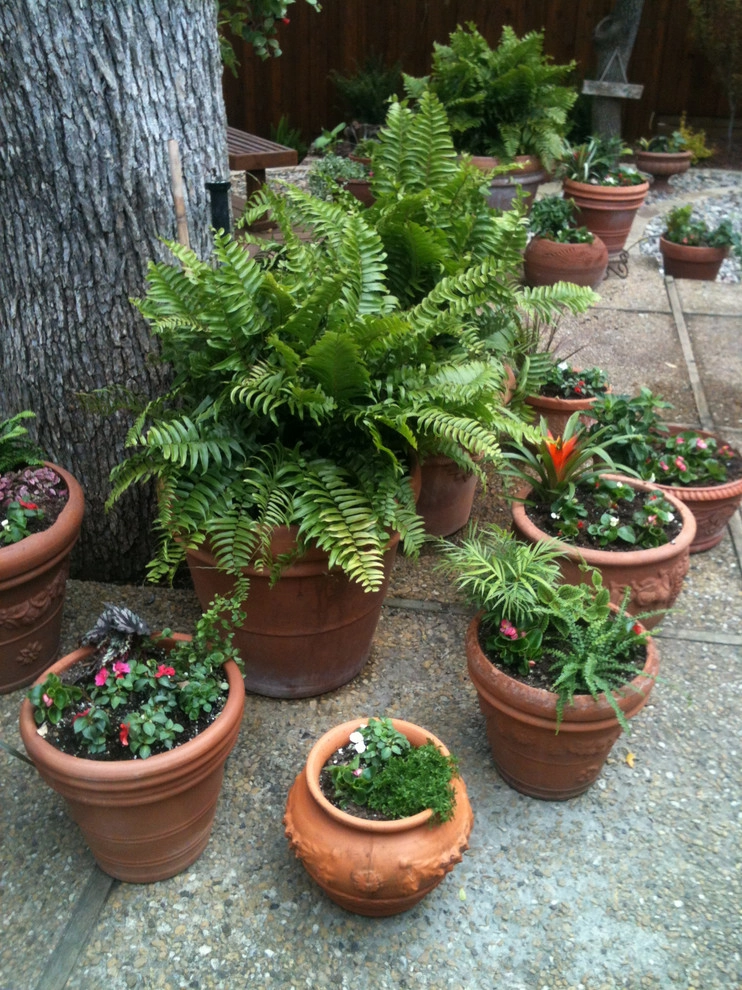 Backyard space by Brumley Gardens - Photo 3