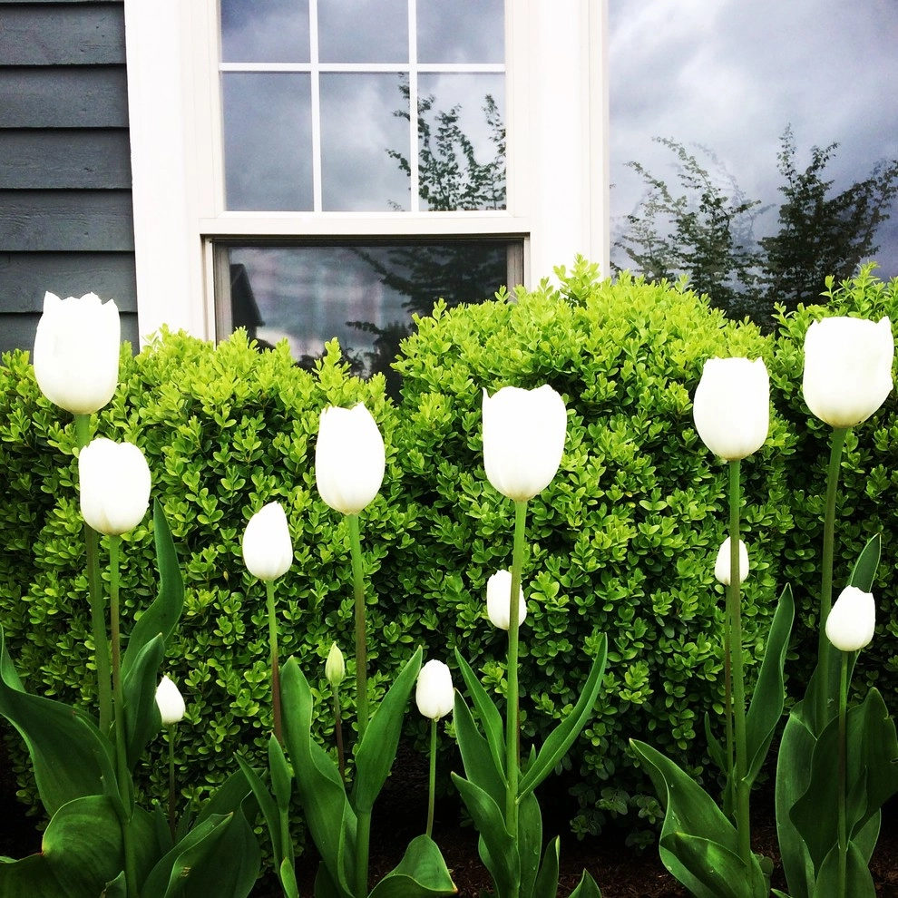 Classic Cool by Olander Garden Design - Photo 12