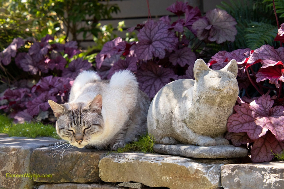 Windermere Color by Olander Garden Design - Photo 3