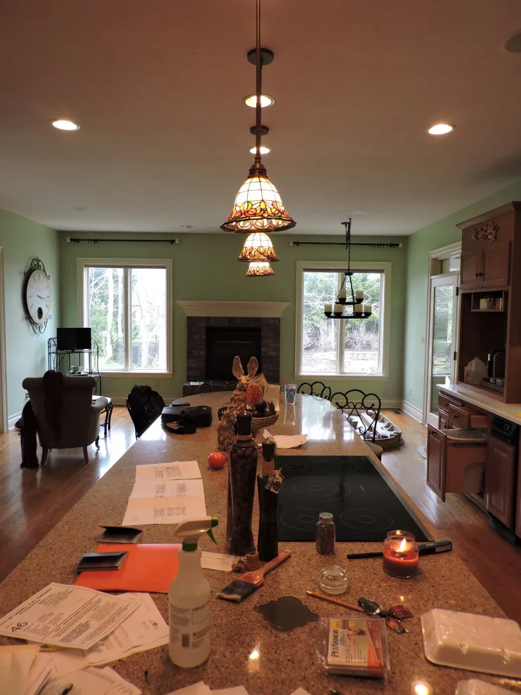 Jones Culinary and Family Spaces by All Over IT Renovations - Photo 27
