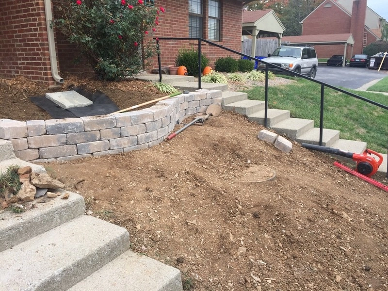 Rain Garden by Executive Landscape Services, LLC - Photo 5