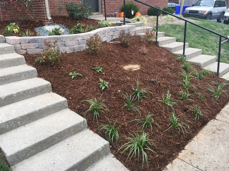 Rain Garden by Executive Landscape Services, LLC - Photo 7