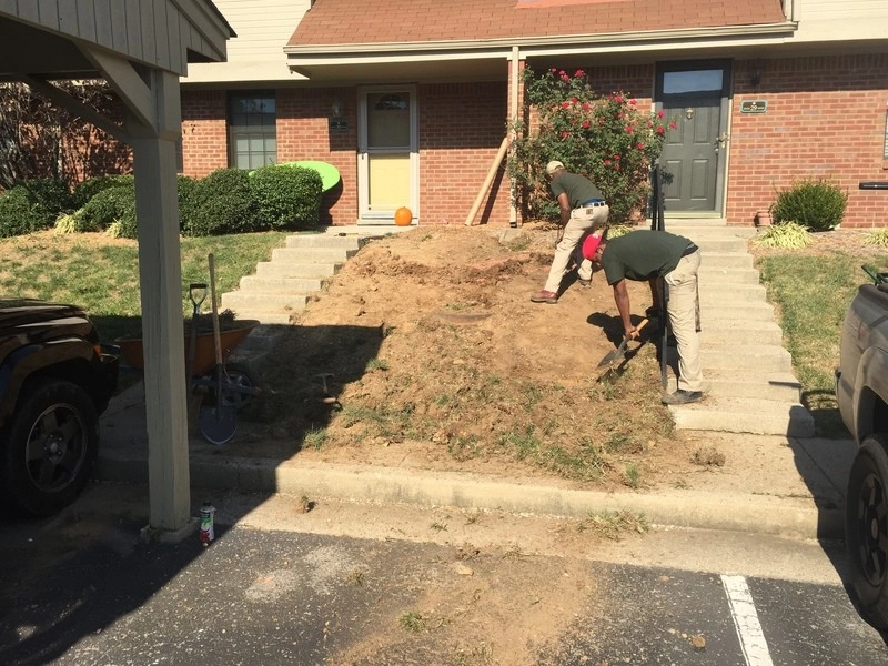 Rain Garden by Executive Landscape Services, LLC - Photo 6