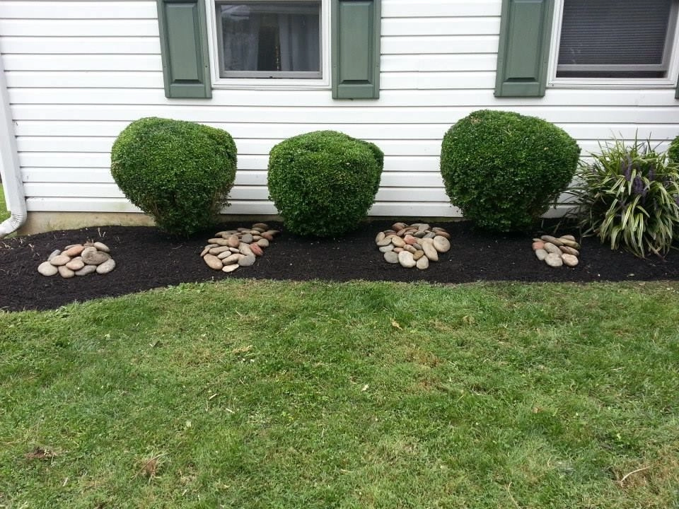 BAC Landscaping Inc. - Photo 2