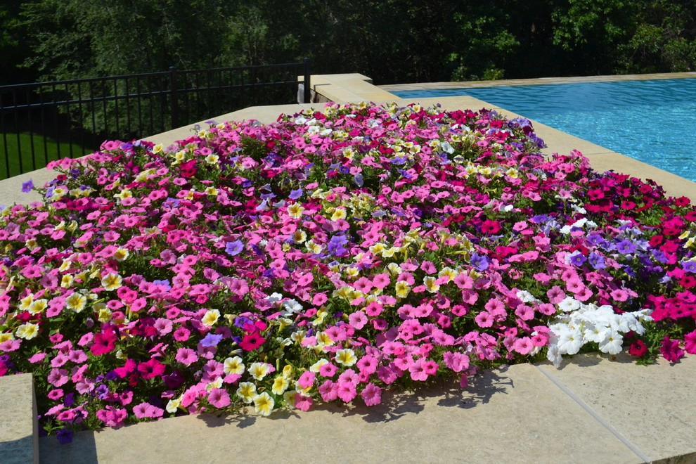 Gorgeous Garden Beds by Bachman's Landscaping & Garden Services - Photo 5