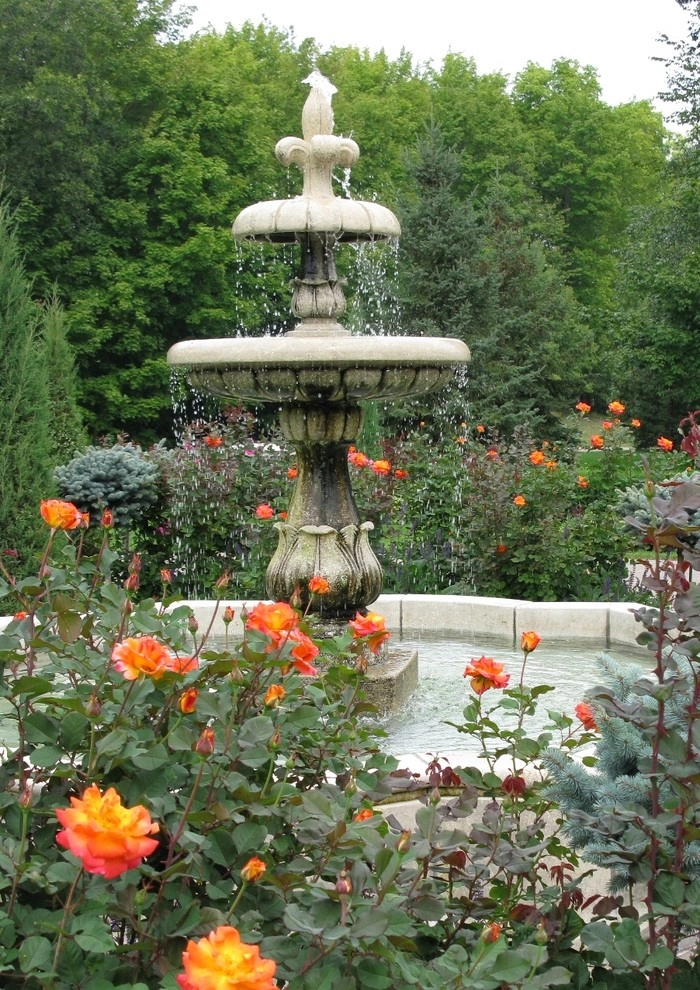 Water Features & Pools by Bachman's Landscaping & Garden Services - Photo 12